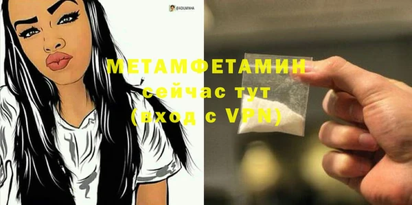 шишки Горняк