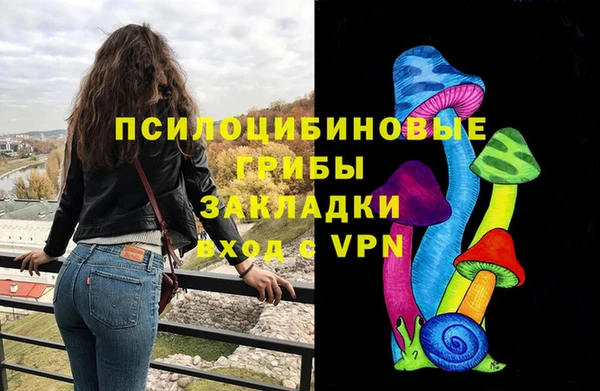 шишки Горняк