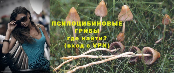 шишки Горняк