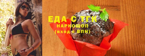 шишки Горняк