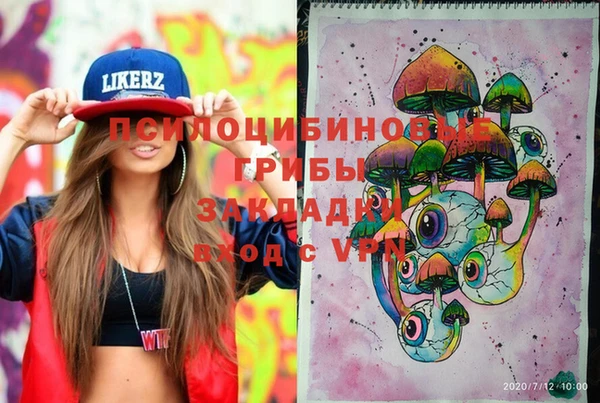 крисы Вяземский