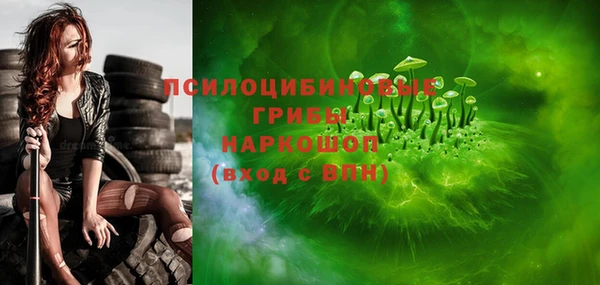 шишки Горняк