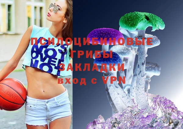 шишки Горняк