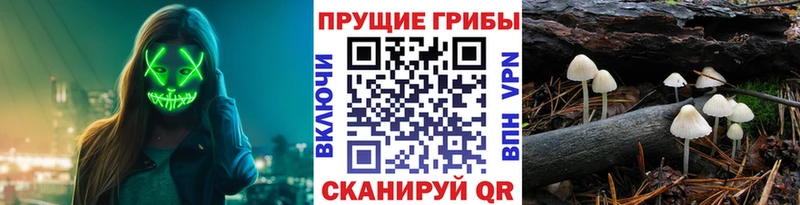 Псилоцибиновые грибы MAGIC MUSHROOMS  Купить  Костерёво 